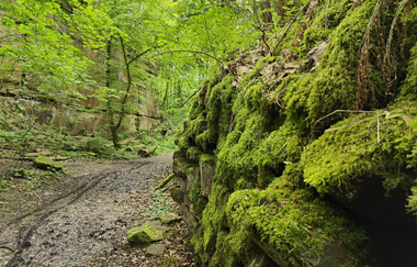 Geo- & Naturpfad im Schilfsandsteinbruch Heilbronn | HeilbronnerLand | © Touristikgemeinschaft HeilbronnerLand