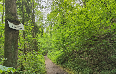 Geo- & Naturpfad im Schilfsandsteinbruch Heilbronn | HeilbronnerLand | © Touristikgemeinschaft HeilbronnerLand