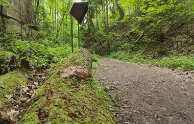 Geo- & Naturpfad im Schilfsandsteinbruch Heilbronn | HeilbronnerLand | © Touristikgemeinschaft HeilbronnerLand