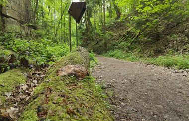 Geo- & Naturpfad im Schilfsandsteinbruch Heilbronn | HeilbronnerLand | © Touristikgemeinschaft HeilbronnerLand