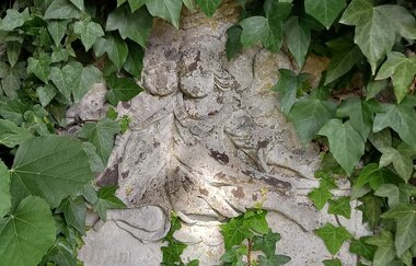 Ein verwitterter Grabstein mit Relief, teilweise von Efeu überwuchert. | © Petra Natzkowski