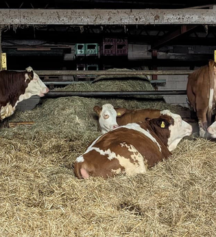 Schleicher Hof | © BTMV Bruchsal