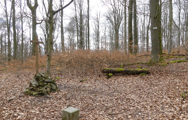 Schlierkopf (450 m ü. NN) | © Land der 1000 Hügel - Kraichgau-Stromberg
