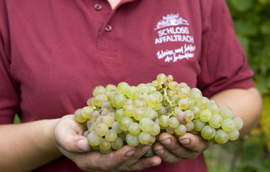 Schlosskellerei Affaltrach | Obersulm | Weinsberger Tal | © Tourismus im Weinsberger Tal e.V.