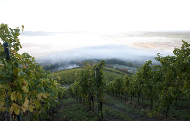 Schlosskellerei Affaltrach | Obersulm | Weinsberger Tal | © Tourismus im Weinsberger Tal e.V.