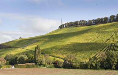 Schlosskellerei Affaltrach | Obersulm | Weinsberger Tal | © Tourismus im Weinsberger Tal e.V.