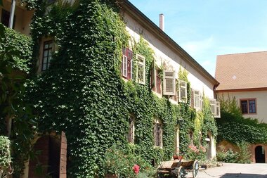 Das Schloss ist von wildem Wein umrankt | © Touristikgemeinschaft Hohenlohe e. V.  |  Marion Schlund