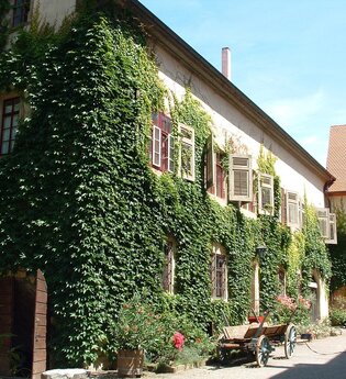 Das Schloss ist von wildem Wein umrankt | © Touristikgemeinschaft Hohenlohe e. V.  |  Marion Schlund