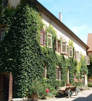 Das Schloss ist von wildem Wein umrankt | © Touristikgemeinschaft Hohenlohe e. V.  |  Marion Schlund