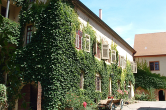 Das Schloss ist von wildem Wein umrankt | © Touristikgemeinschaft Hohenlohe e. V.  |  Marion Schlund
