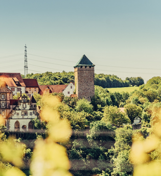 Blick auf eine Schlossanlage zwischen Wald und Weinbergen | © Touristikgemeinschaft HeilbronnerLand e.V.