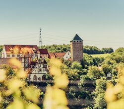 Blick auf eine Schlossanlage zwischen Wald und Weinbergen | © Touristikgemeinschaft HeilbronnerLand e.V.