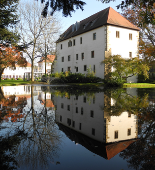 Schloss Neckarbischofsheim