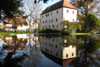 Schloss Neckarbischofsheim