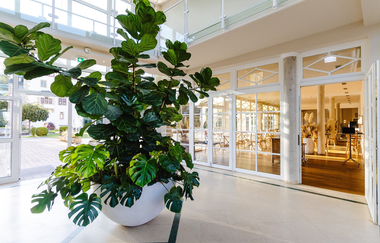 Schloss Neckarbischofsheim