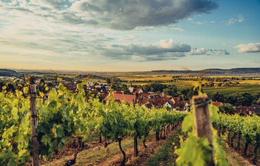 Aussicht vonm Stocksberg | © Touristikgemeinschaft HeilbronnerLand