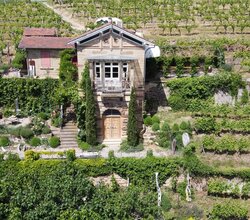 Weinschlössle Nordheim - Weinmanufaktur Feucht | HeilbronnerLand | © Markus Feucht