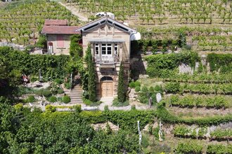 Weinschlössle Nordheim - Weinmanufaktur Feucht | HeilbronnerLand | © Markus Feucht