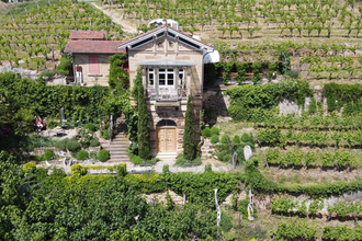 Weinschlössle Nordheim - Weinmanufaktur Feucht | HeilbronnerLand | © Markus Feucht