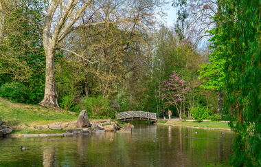 Der Ententeich im Schlosspark. Im Hintergrund ist eine kleine weiße Fußgängerbrücke, Enten schwimmen auf dem Teich. | © Thorsten Günthert