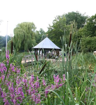 Schlosspark im Sommer | Gemeinde Gemmingen | HeilbronnerLand | © Gemeinde Gemmingen