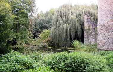 Schlossruine Waibstadt - Daisbach | © Stadt Sinsheim