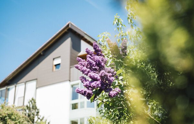 Schmerztherapiezentrum Bad Mergentheim | © Schmerztherapiezentrum Bad Mergentheim