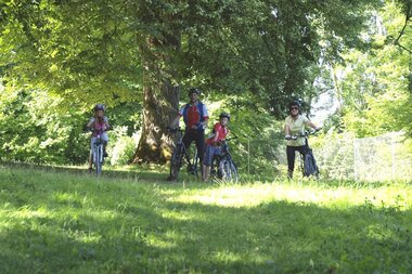 Eine Familie steht unter einem schattigen Lindenbaum | © Touristikgemeinschaft Hohenlohe e. V.  | Susanne Schleussner