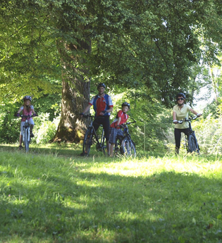 Eine Familie steht unter einem schattigen Lindenbaum | © Touristikgemeinschaft Hohenlohe e. V.  | Susanne Schleussner