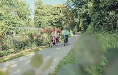 Württemberger Weinradweg im Schozachtal | HeilbronnerLand | © Touristikgemeinschaft HeilbronnerLand