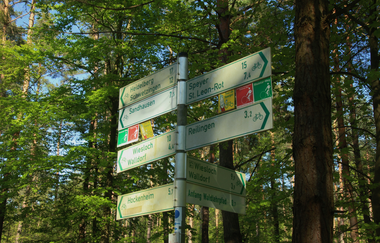 Schwetzinger Hardt | © Landratsamt Rhein-Neckar-Kreis