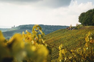Wengertshüttles HeilbronnerLand | Kleines Raststationen in den Weinbergen | © Touristikgemeinschaft HeilbronnerLand