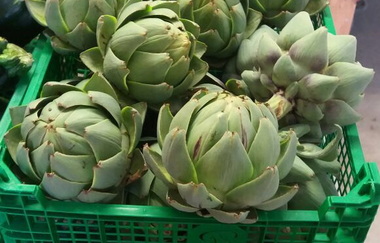 Spargel- und Melonenhof Gieser | © Spargel- und Melonenhof Gieser