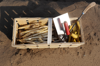 Spargelhof Renkert | © Tourist Information Schwetzingen