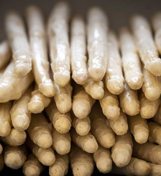 Spargelhof Spilger | © Touristinformation Schwetzingen