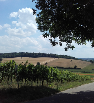 Speyerer Amtshaus Kraichtal-Oberöwisheim | © Stadtmarketing Kraichtal