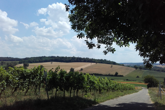 Speyerer Amtshaus Kraichtal-Oberöwisheim | © Stadtmarketing Kraichtal