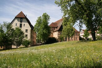 Zu sehen ist eine blühende Wiese und Bäume | © Stadtverwaltung Crailsheim