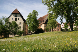 Zu sehen ist eine blühende Wiese und Bäume | © Stadtverwaltung Crailsheim