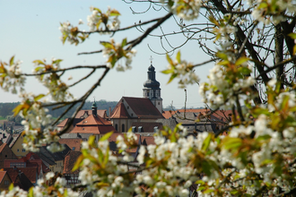 St. Martin Kirche Kraichtal-Gochsheim | © Stadtmarketing Kraichtal
