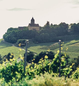 Aussicht vom Schöllkopf auf Schloss Stocksberg | © Touristikgemeinschaft HeilbronnerLand e.V.
