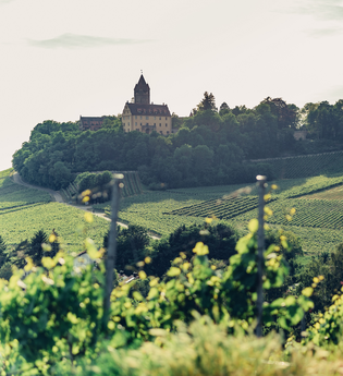 Aussicht vom Schöllkopf auf Schloss Stocksberg | © Touristikgemeinschaft HeilbronnerLand e.V.