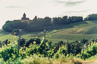 Aussicht vom Schöllkopf auf Schloss Stocksberg | © Touristikgemeinschaft HeilbronnerLand e.V.