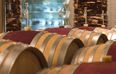 Führung mit Weinverkostung im Holzfasskeller des Staatsweingut Weinsberg | Weinsberg | HeilbronnerLand | © Staatsweingut Weinsberg