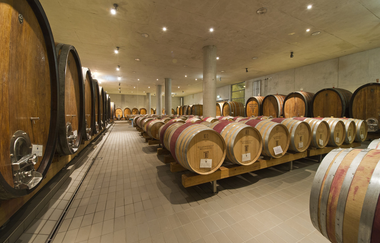 Führung mit Weinverkostung im Holzfasskeller des Staatsweingut Weinsberg | Weinsberg | HeilbronnerLand | © Staatsweingut Weinsberg