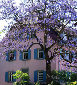 Stadtbücherei Bretten | © Bildband Bretten / Stadt Bretten