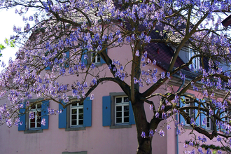 Stadtbücherei Bretten | © Bildband Bretten / Stadt Bretten