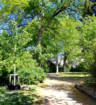 Stadtgarten | © Tourist Information Weinheim
