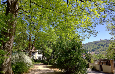 Stadtgarten in Weinheim | © Tourist Information Weinheim