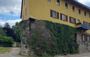 Ein gelbes Gebäude mit Efeu bewachsener Stadtmauer in Gaildorf. | © Petra Natzkowski